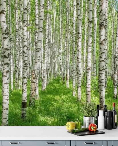 mural de papel pintado de abedul blanco personalizable llamado White Birch Trees para dormitorios