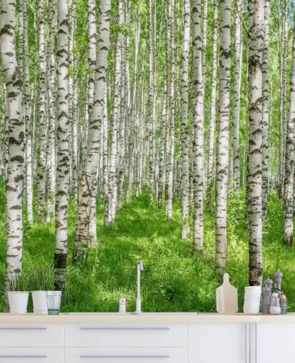 mural de papel pintado de abedul blanco personalizable llamado White Birch Trees para dormitorios