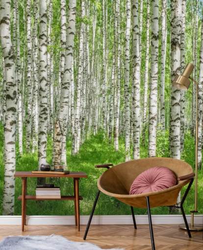 carta da parati murale bianca personalizzabile con betulla chiamata White Birch Trees per camere da letto carta da parati murale bianca personalizzabile con betulla chiamata White Birch Trees per camere da letto