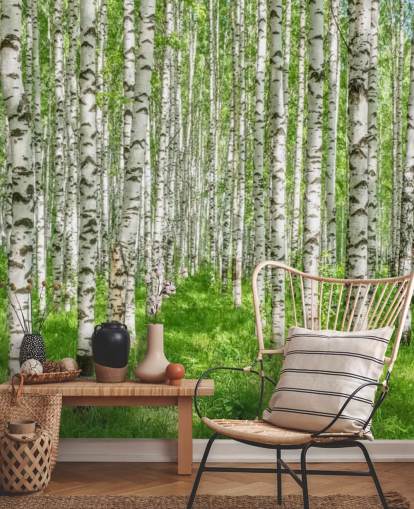 hvitt tilpassbart bjørketretapet veggmaleri kalt White Birch Trees for soverom