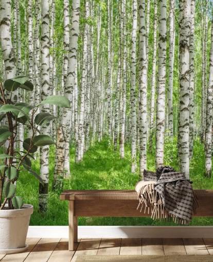 valkoinen muokattava koivun taustakuvamaalaus nimeltä White Birch Trees makuuhuoneisiin