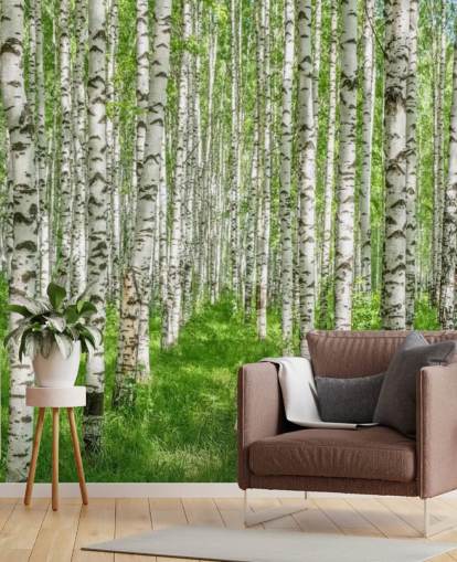 hvitt tilpassbart bjørketretapet veggmaleri kalt White Birch Trees for soverom