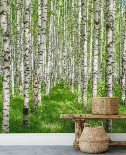 hvidt tilpasseligt birketræ tapetmaleri kaldet White Birch Trees til soveværelser