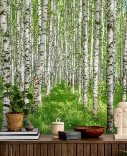 mural de papel pintado de abedul blanco personalizable llamado White Birch Trees para dormitorios