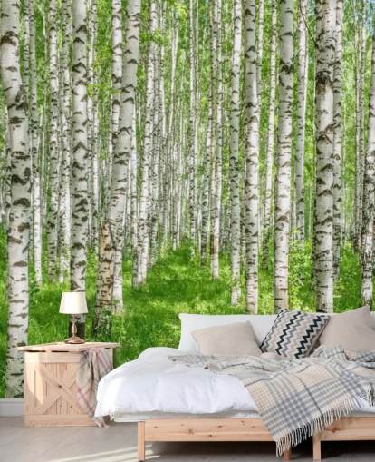 Weiße personalisierbare Birkentapete mit dem Titel White Birch Trees für Schlafzimmer