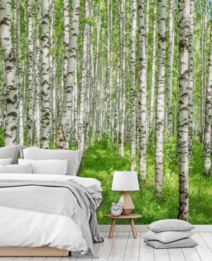 hvitt tilpassbart bjørketretapet veggmaleri kalt White Birch Trees for soverom