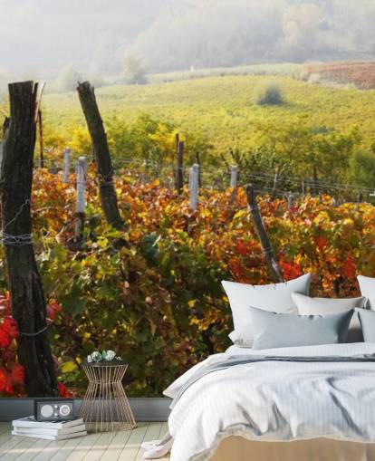 Decorazione murale con bellissimo vigneto e campagna Decorazione murale con bellissimo vigneto e campagna