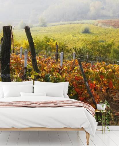 Beautiful Vineyard and Countryside Wall Mural