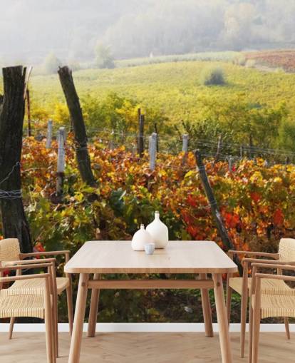 Wunderschönes Weinberg und Landschaft Fototapete