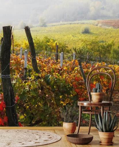 Beautiful Vineyard and Countryside Wall Mural