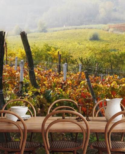 Beautiful Vineyard and Countryside Wall Mural