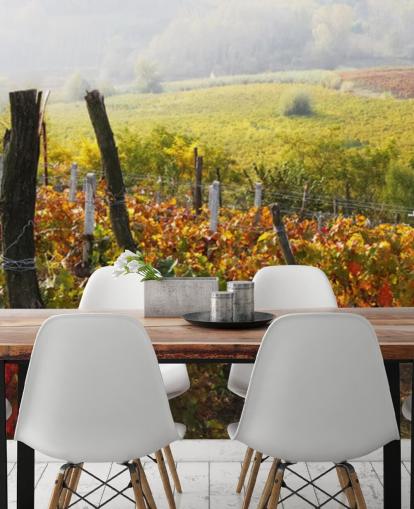 Beautiful Vineyard and Countryside Wall Mural