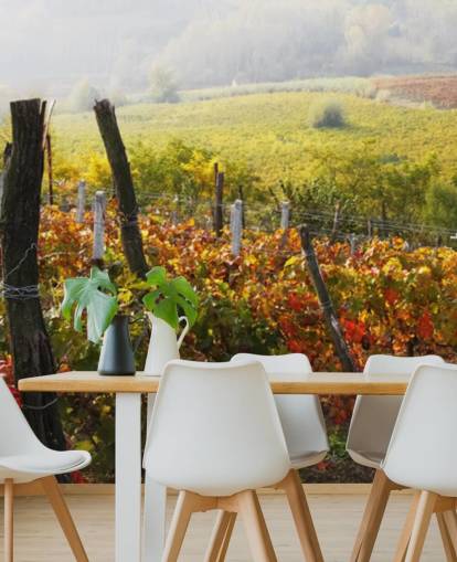Beautiful Vineyard and Countryside Wall Mural