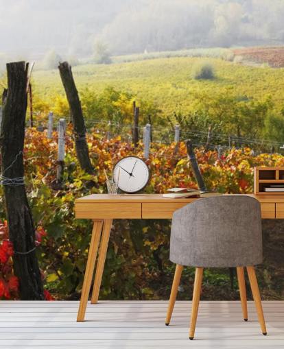 Decorazione murale con bellissimo vigneto e campagna