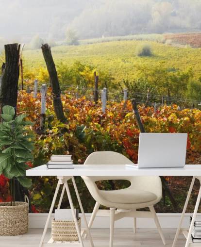 Mural de pared Hermoso viñedo y campo