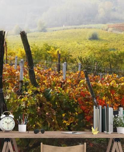 Beautiful Vineyard and Countryside Wall Mural