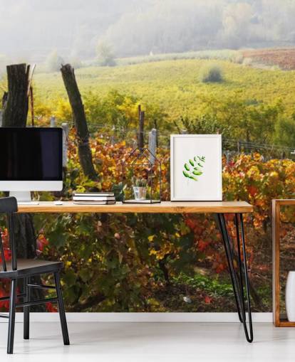 Beautiful Vineyard and Countryside Wall Mural