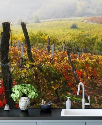 Wunderschönes Weinberg und Landschaft Fototapete