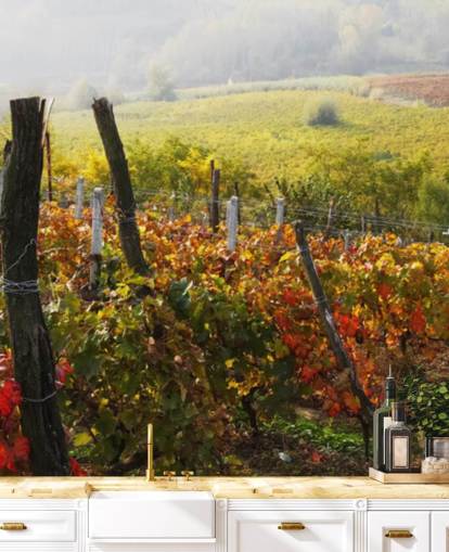 Papier Peint Fresque Vigne et Campagne
