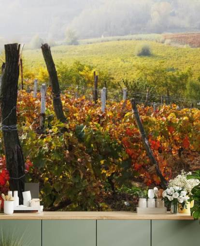Beautiful Vineyard and Countryside Wall Mural