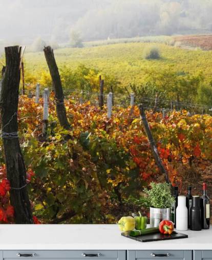 Decorazione murale con bellissimo vigneto e campagna