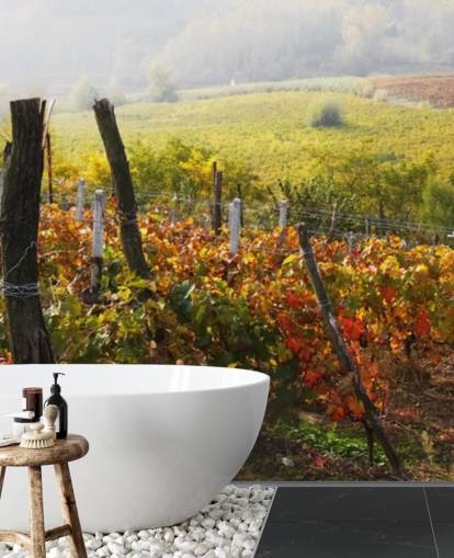 Papier Peint Fresque Vigne et Campagne