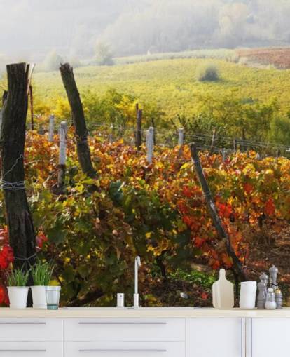 Decorazione murale con bellissimo vigneto e campagna
