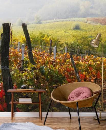 Beautiful Vineyard and Countryside Wall Mural