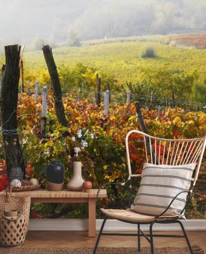 Beautiful Vineyard and Countryside Wall Mural
