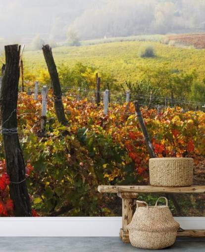 Beautiful Vineyard and Countryside Wall Mural