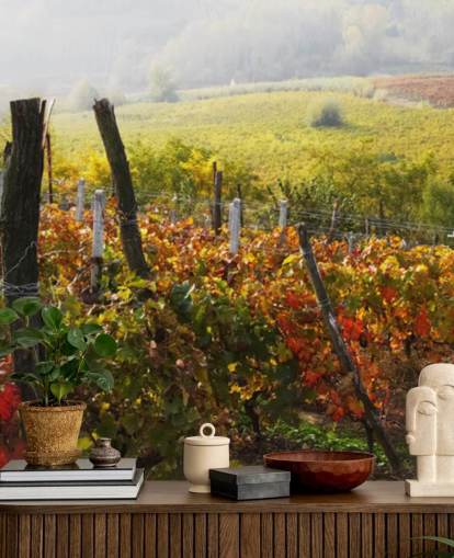 Mural de pared Hermoso viñedo y campo Mural de pared Hermoso viñedo y campo