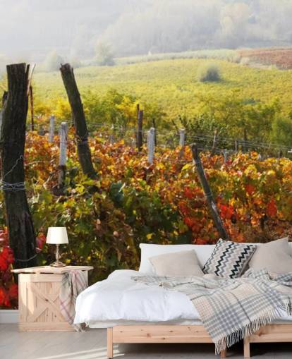 Beautiful Vineyard and Countryside Wall Mural Beautiful Vineyard and Countryside Wall Mural