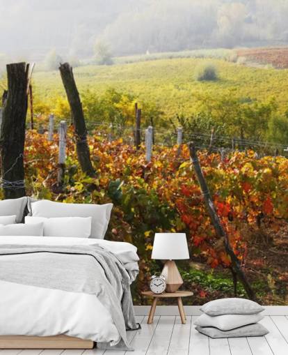 Beautiful Vineyard and Countryside Wall Mural Beautiful Vineyard and Countryside Wall Mural