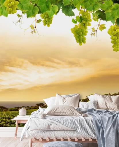 Descargar el fondo de pantalla Vineyard by sea and grapevine