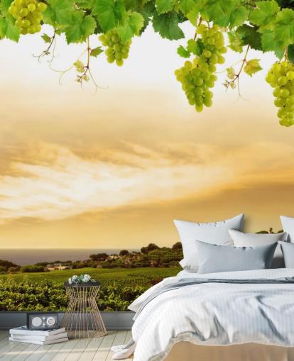 Vineyard by sea and grapevine wallpaper