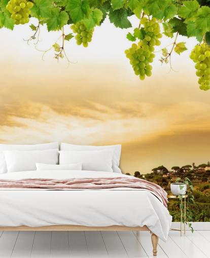 Vineyard by sea and grapevine wallpaper Vineyard by sea and grapevine wallpaper