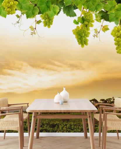 Descargar el fondo de pantalla Vineyard by sea and grapevine