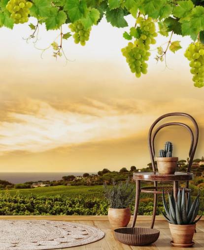 Vineyard by sea and grapevine wallpaper