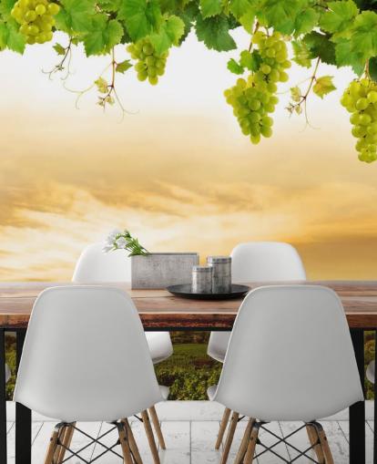 Descargar el fondo de pantalla Vineyard by sea and grapevine