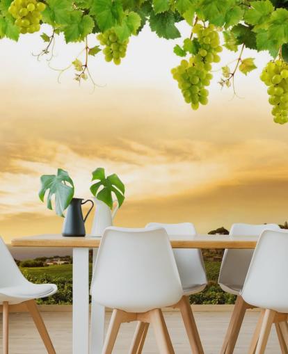 Descargar el fondo de pantalla Vineyard by sea and grapevine Descargar el fondo de pantalla Vineyard by sea and grapevine