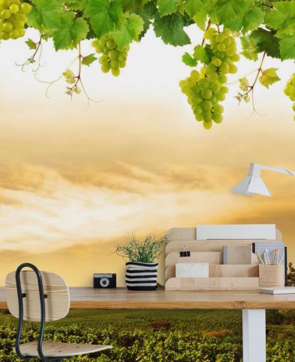 Descargar el fondo de pantalla Vineyard by sea and grapevine