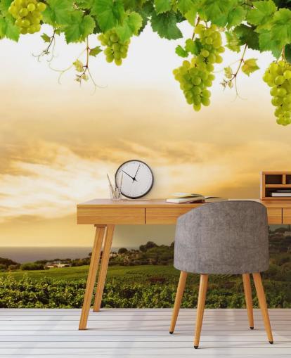 Descargar el fondo de pantalla Vineyard by sea and grapevine