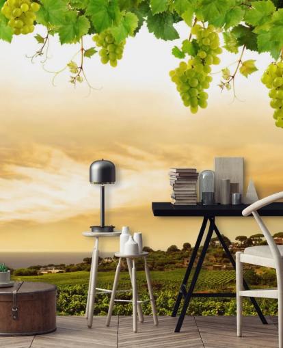 Vineyard by sea and grapevine wallpaper
