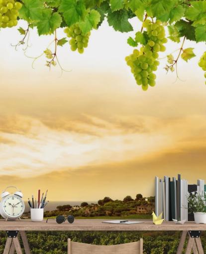 Vineyard by sea and grapevine wallpaper