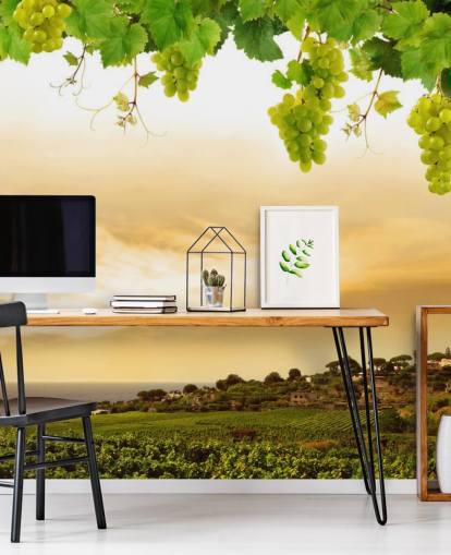 Vineyard by sea and grapevine wallpaper
