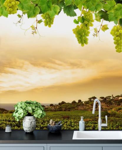 Fond d'écran Vignoble par mer et vigne