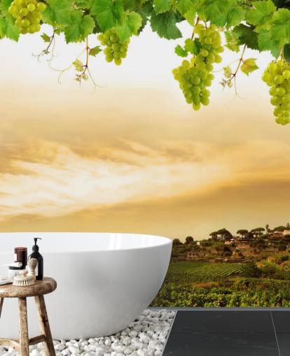 Fond d'écran Vignoble par mer et vigne