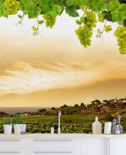 Fond d'écran Vignoble par mer et vigne