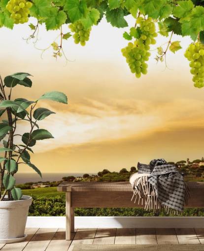 Carta da parati Vineyard by sea e vite