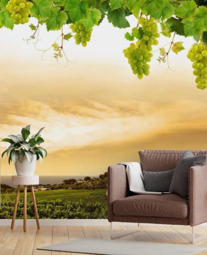 Descargar el fondo de pantalla Vineyard by sea and grapevine